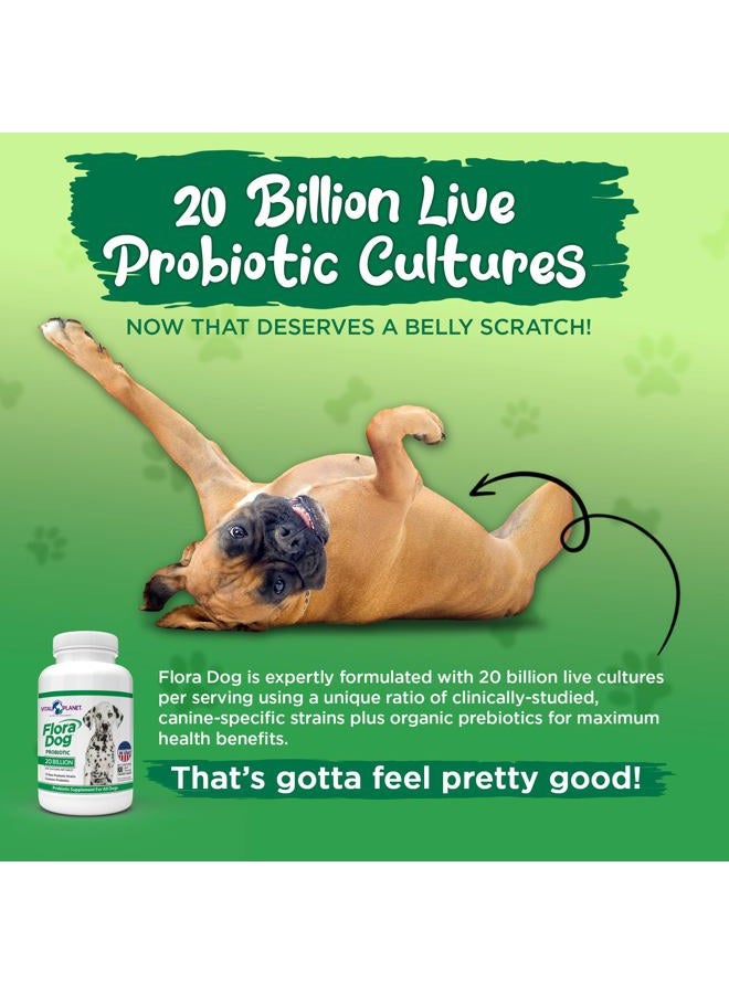 Vital Planet Flora Dog Probiotic Chewable Tablets Supplement with 20 Billion Cultures and 10 Strains, High Potency Immune and Digestive Support Probiotics for Dogs, 30 Beef Flavored Chewable Tablets - Image 5