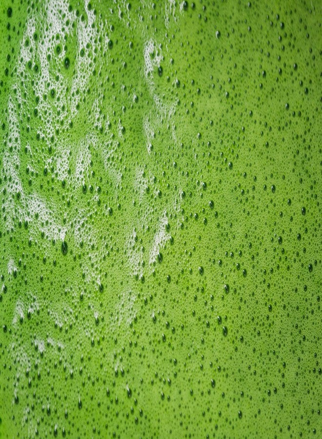 The Vedas Uji Kyoto Imperial Ceremonial Grade Matcha Tea crafted by Hamayen Vikshuva(ハマーン・ヴィクシュヴァ) | from Uji Kyoto | 50 grams - Image 4