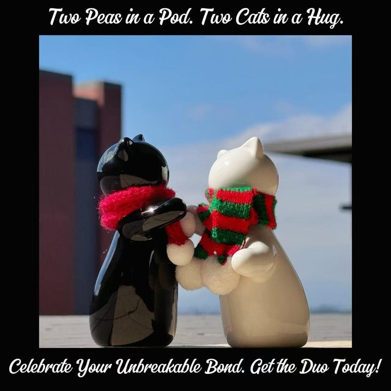 Holitika Cat Salt and Pepper Shakers, Cute Hugging Cat Couple Set, White & Black Set, Easy to Refill & Dispense (Seasoning & Spice) - Perfect for Gift, S1 - Image 5