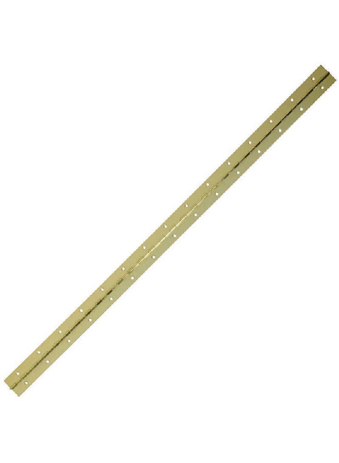 آيس 5298393 مفصلة طويلة للباب من الفولاذ عالي الجودة خفيفة الوزن نحاس زاهي 1.5 x 30 بوصة  - Image 2