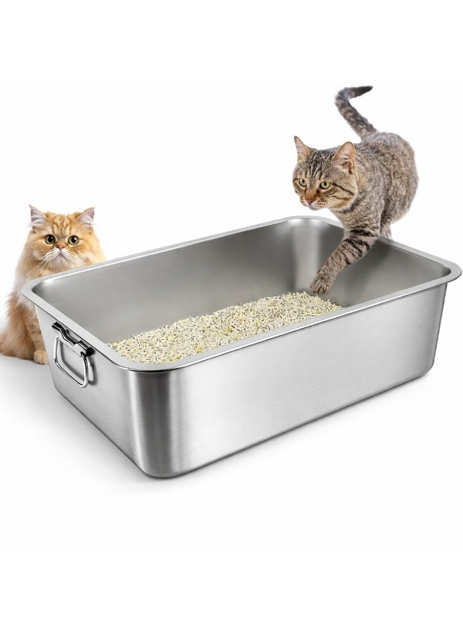 Large Stainless Steel Cat Litter Box (50×35×15cm) with Scoop & Fish Toy – Odor & Leak Proof, Durable Anti-Bacterial Litter Tray for Large Cats & Multi-Cat Homes - Image 1