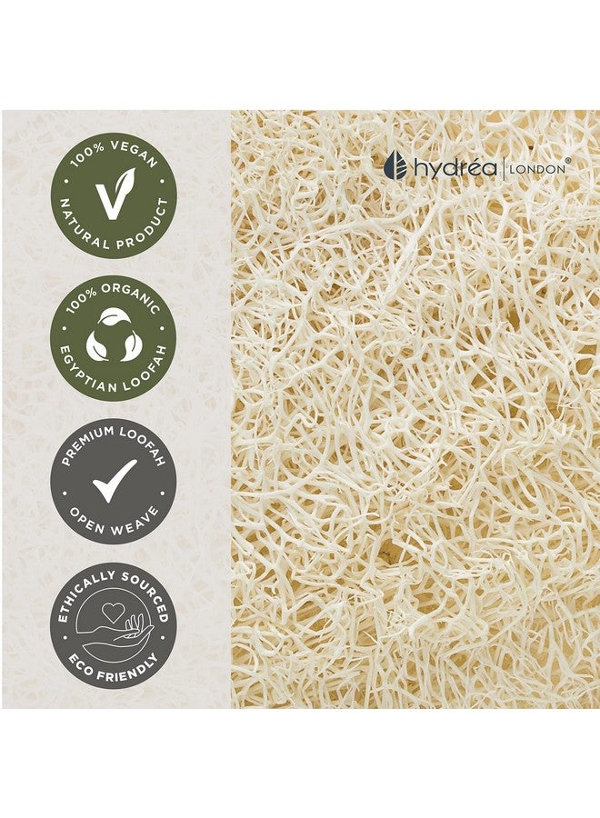 Hydrea London Hydréa London Organic Egyptian Loofah Luxury Exfoliating Body Pad Natural Quality Spa Bodycare For Bath Shower - Image 4