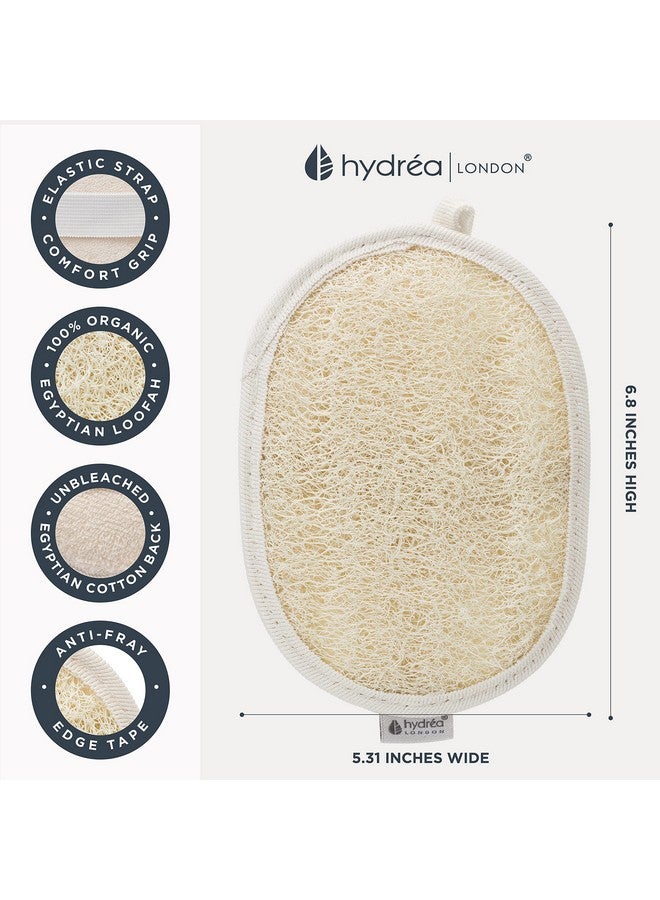 Hydrea London Hydréa London Organic Egyptian Loofah Luxury Exfoliating Body Pad Natural Quality Spa Bodycare For Bath Shower - Image 5