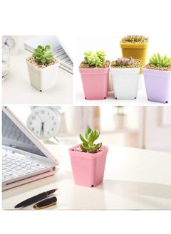 SYOSI Plastic Plant Pots Seedling Nursery with Saucers and 3 Mini Garden Tools Succulent Planter Container for Room Office Balcony Decor Multicolor 24 Pack 3 Inch  - Image 4