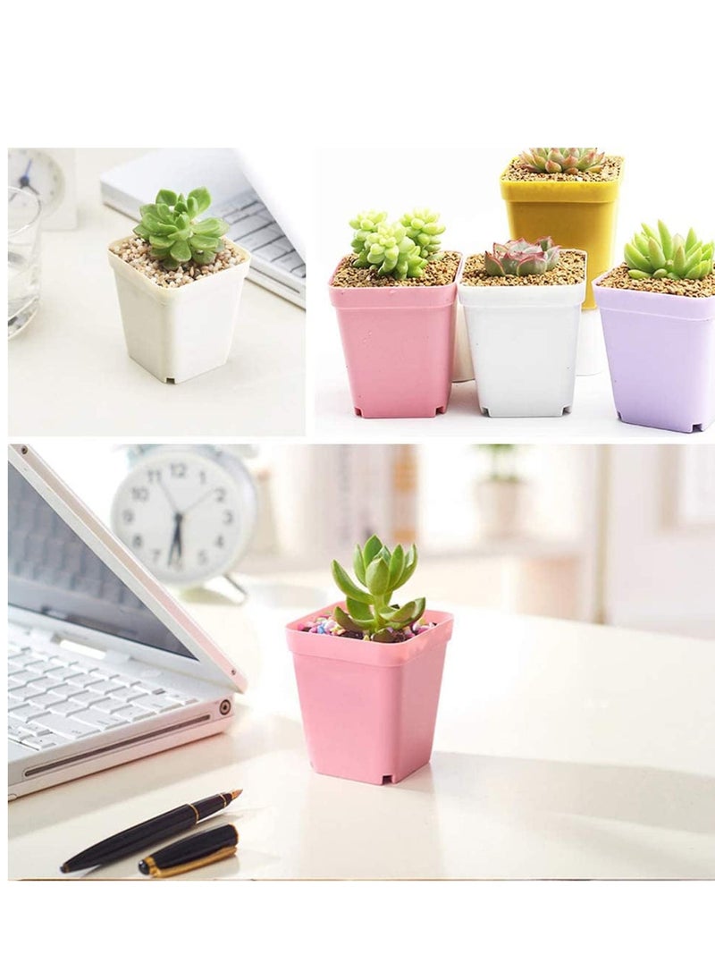 SYOSI Plastic Plant Pots Seedling Nursery with Saucers and 3 Mini Garden Tools Succulent Planter Container for Room Office Balcony Decor Multicolor 24 Pack 3 Inch  - Image 4