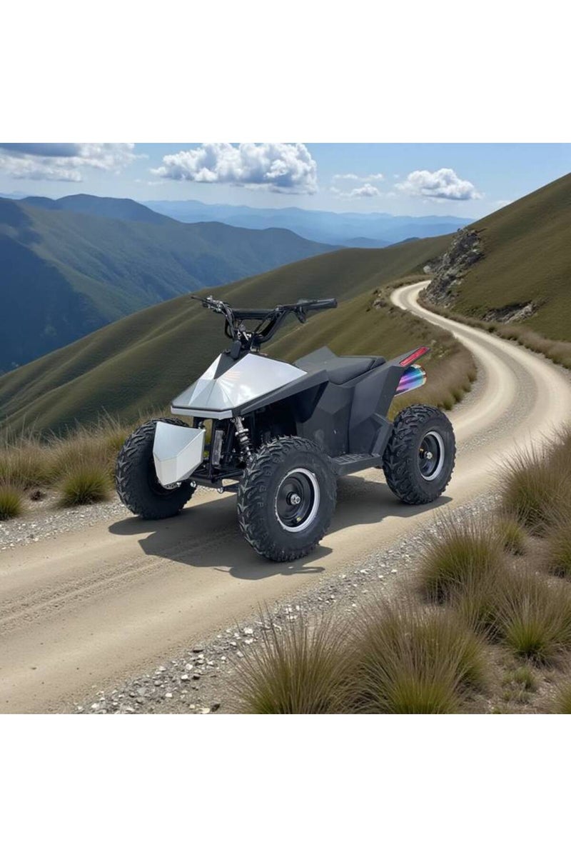 48V electric quad bike - Image 1