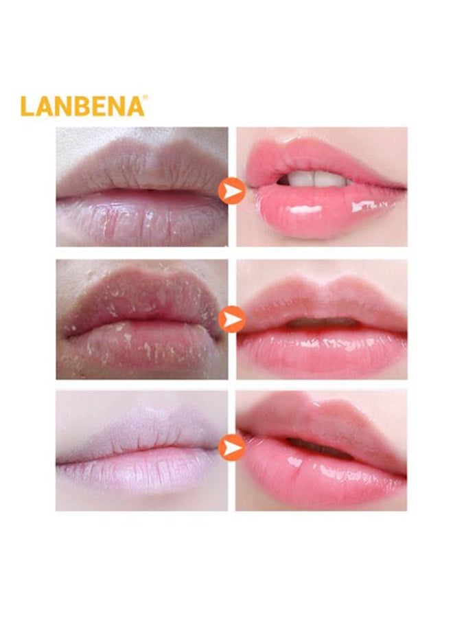 LANBENA Hyaluronic Acid Lip Balm - Nourish And Moisturize For A Long Time - Reduce Fine Lines - Relieve Dryness And Long-Lasting Protection 1.8G - Image 5
