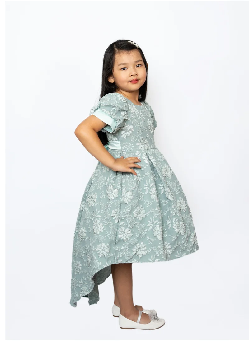 دىدانيالا Girls Green Tulle Floral Dress