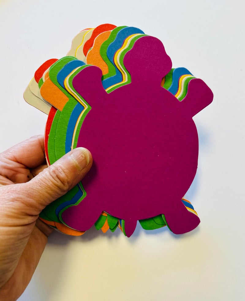 SHAPES ETC. 31 Pcs Turtle Assorted Color Creative Cut-Outs 5.5in Ocean Decor Spring Summer Decorations Reptile Learning Games VBS Classroom Bulletin Boards Kids’ School Craft Projects USA Made - Image 2
