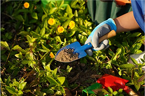 Doiaz Kidz Gardening Set -Real Metal Gardening Tools Kit for Childrenz Includes Sturdy Shovel,Rake,Fork,Trowel,Kidz Garden Kit with Sun Hat,Apron,Gloves,Tote Bag,Sprayer and Bucket,Outdoor Gardening Gifts - Image 5