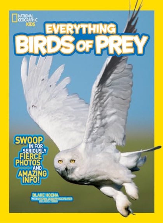 Ngk Everything Birds Of Prey 