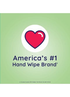 Antibacterial Eucalyptus & Mint Hand Wipes, Canister| Antibacterial Wipes, Hand Sanitizer Wipes, Wet Ones Wipes, Soft Textured Wipes, Lightly Scented Wipes, 150 Ct. (1 Pack) - pzsku/Z79FC3B3782EFD8C12545Z/45/_/1734183253/b1c6ff42-3188-4ce6-88b7-4da6d7adf25e