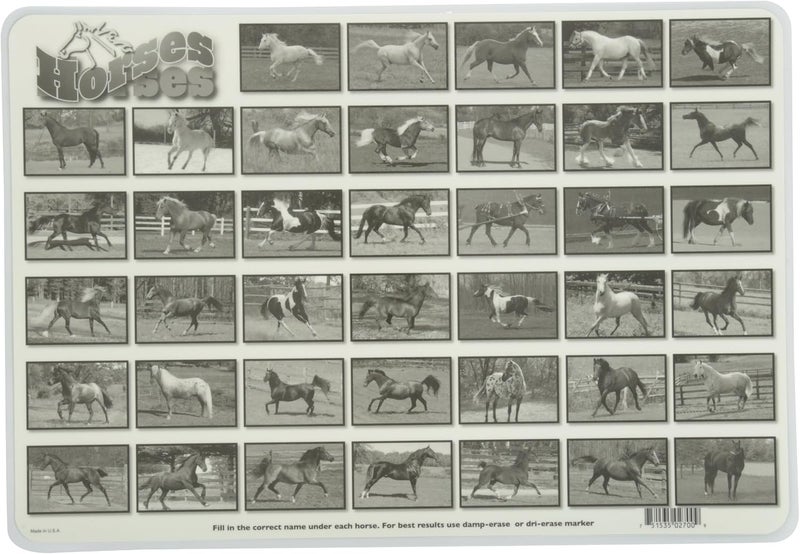 Painless Learning Popular Horses Educational Placemat - Image 2