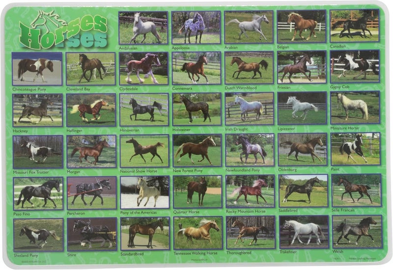 Painless Learning Popular Horses Educational Placemat - Image 1