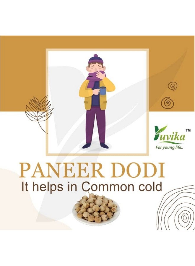 YUVIKA Paneer Dodi Powder - Paneer Doda Powder - Withania Coagulans 200 Grams - Image 5