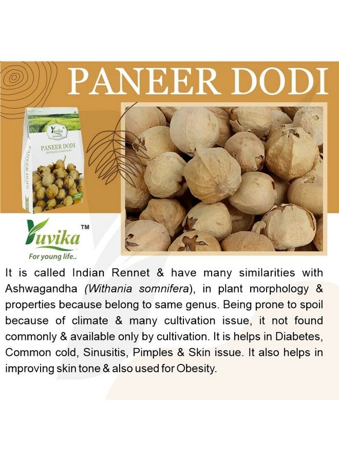 YUVIKA Paneer Dodi Powder - Paneer Doda Powder - Withania Coagulans 200 Grams - Image 3