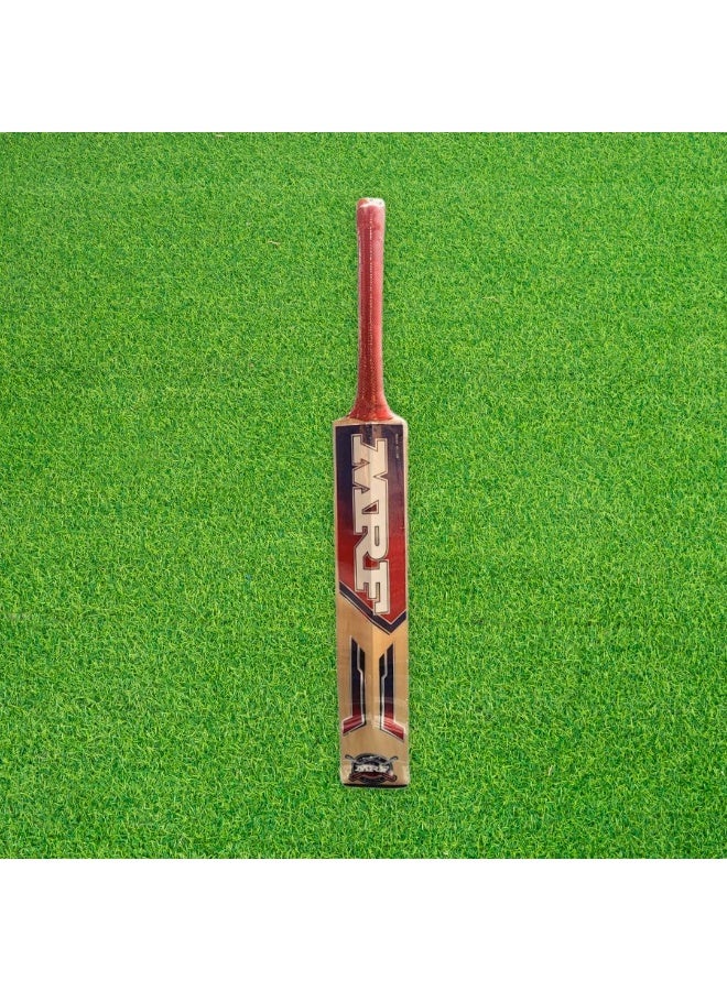 MRF Prodigy Kashmir Willow Cricket Bat - Junior Size 5 (Five) - Image 3