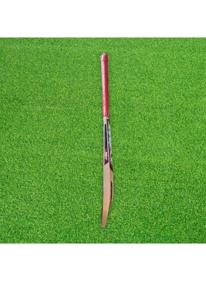 MRF Prodigy Kashmir Willow Cricket Bat - Junior Size 5 (Five) - Image 2