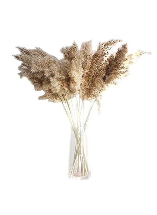 COSYOO COSYOO 10PCS 2362in Dried Plant Stem Natural Thick Dried Grass Stem Pampas Grass Stem Pampas Reed Stem Natural Grass Stems 