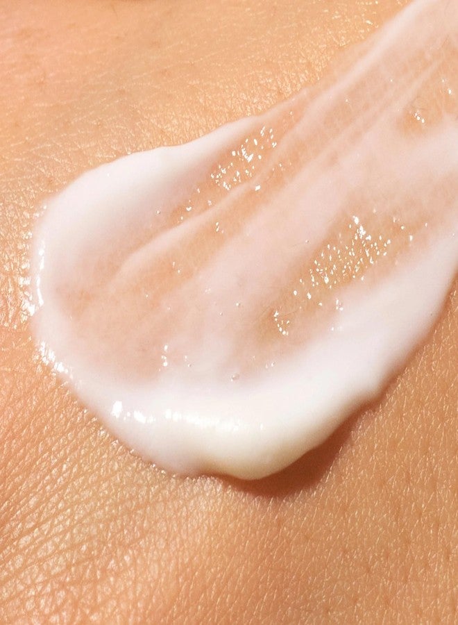 PAI SKINCARE - Gentle Genius Barrier Care Rapid Rescue Hand Cream | Natural, Vegan, Cruelty-Free, Sensative Skin (2 fl oz | 60 mL) - Image 2