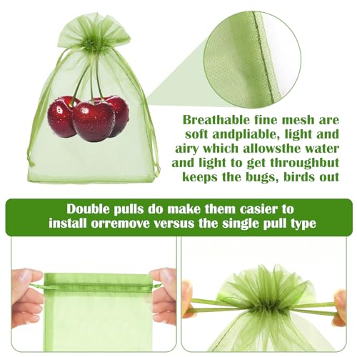 FloraSea 50 PCS 4X6 inches Fruit Protection Bags, Fruit Bags for Fruit Trees, Green Netting Fruit Cover Bags Drawstring Mesh Fruit Protectors Pest Barrier for Fruit Trees Veggies Garden - Image 3
