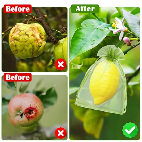 FloraSea 50 PCS 4X6 inches Fruit Protection Bags, Fruit Bags for Fruit Trees, Green Netting Fruit Cover Bags Drawstring Mesh Fruit Protectors Pest Barrier for Fruit Trees Veggies Garden - Image 5