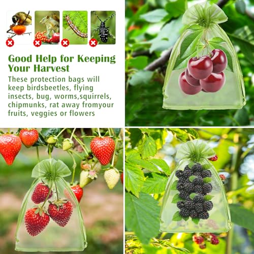 FloraSea 50 PCS 4X6 inches Fruit Protection Bags, Fruit Bags for Fruit Trees, Green Netting Fruit Cover Bags Drawstring Mesh Fruit Protectors Pest Barrier for Fruit Trees Veggies Garden - Image 4