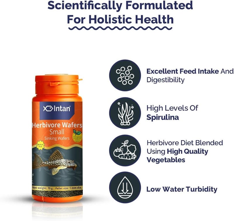 Intan Growel Herbivore Wafers (Small 1mm Sinking) | 70gm - Highly Nutritious Ornamental Fish Food for Herbivorous Fish - Mollies, Mbunas & Plecos - Image 3