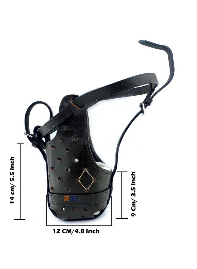 Leather Dog Muzzle For Large German Shepherds Dog, Heavy Duty Leather Muzzle - X-Large Size - Image 4