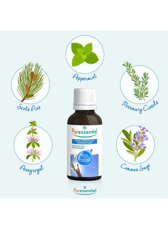 Puressentiel Organic Essential Oil Oil Blends No Solvents Fillers Or Synthetic Fragrances Essential Oils For Home Body And Skin Eucalyptus Radie 0.3 Oz - Image 3