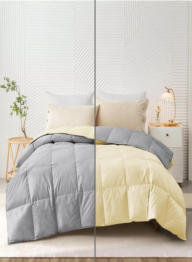 AYANSHI BEDDING Hotel Collection All Season 120 GSM Ac Comforter/Ac Blanket/Ac Duvet Double Bed Comforter (90" X100" Inches) - Double Bed Comforter - Ivory/Silver Grey Color - Image 1