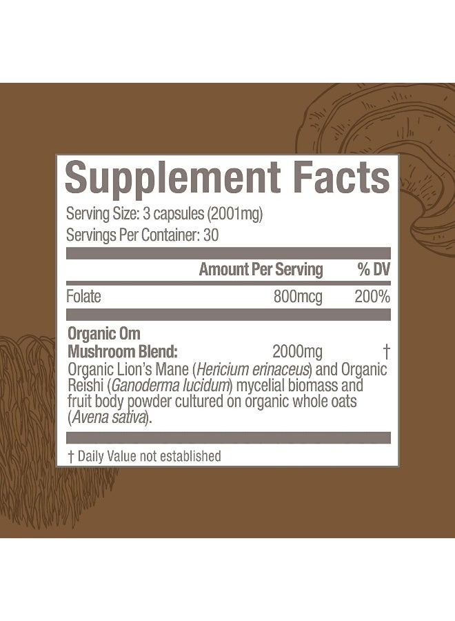 OM Organic Mushroom Nutrition Om Brain Fuel Mushroom Superfood 90Vcaps - Image 5