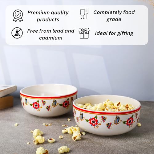 Niyara Ceramic Printed Bowl Set of 2 | Premium Serving Bowls for Snacks, Soup & Desserts | Microwave & Dishwasher Safe (Butterfly Bowl) - Image 3