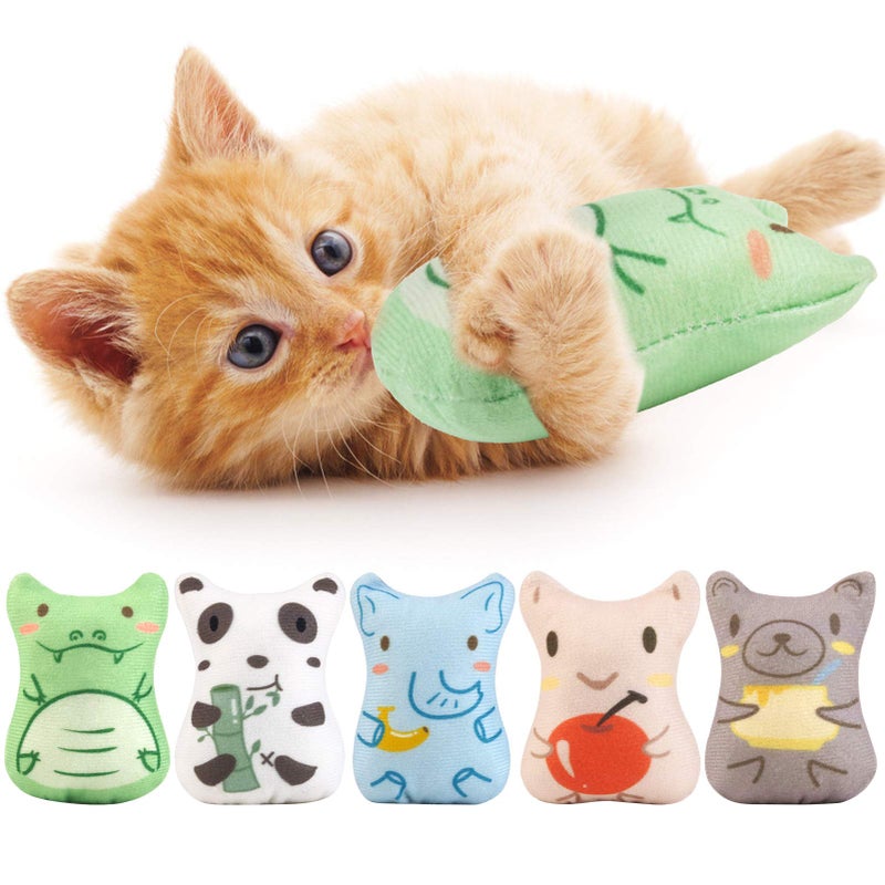 Dorakitten Catnip Toys for Indoor Cats 5PCS Plush Cat Chew Toys Teething Interactive Catnip Filled Kitten Toy Soft Pet Toy - Image 2