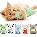 Dorakitten Catnip Toys for Indoor Cats 5PCS Plush Cat Chew Toys Teething Interactive Catnip Filled Kitten Toy Soft Pet Toy - Image 3