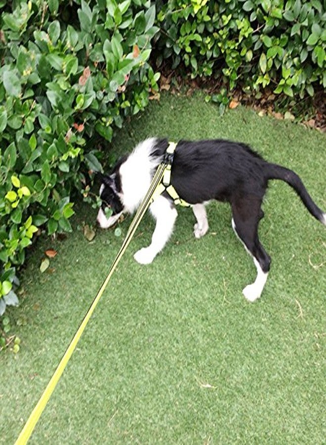 La La Pet Creation Core Reflective Dog Leash Durable Padded Pet Leash Strap for Puppy Pet Leash Rope, Green 6.5Ft Long 1" Wide - Image 2