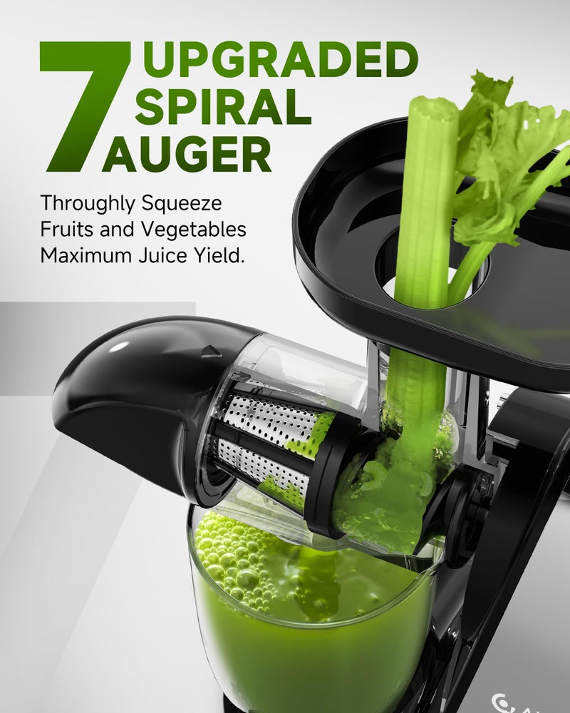 amzchef Masticating Juicer Machines, AMZCHEF Slow Cold Press Juicer with Reverse Function, High Juice Yield, Easy Clean with Brush,Recipes for High Nutrient Fruits and Vegetables, Gray(Updated) - Image 2
