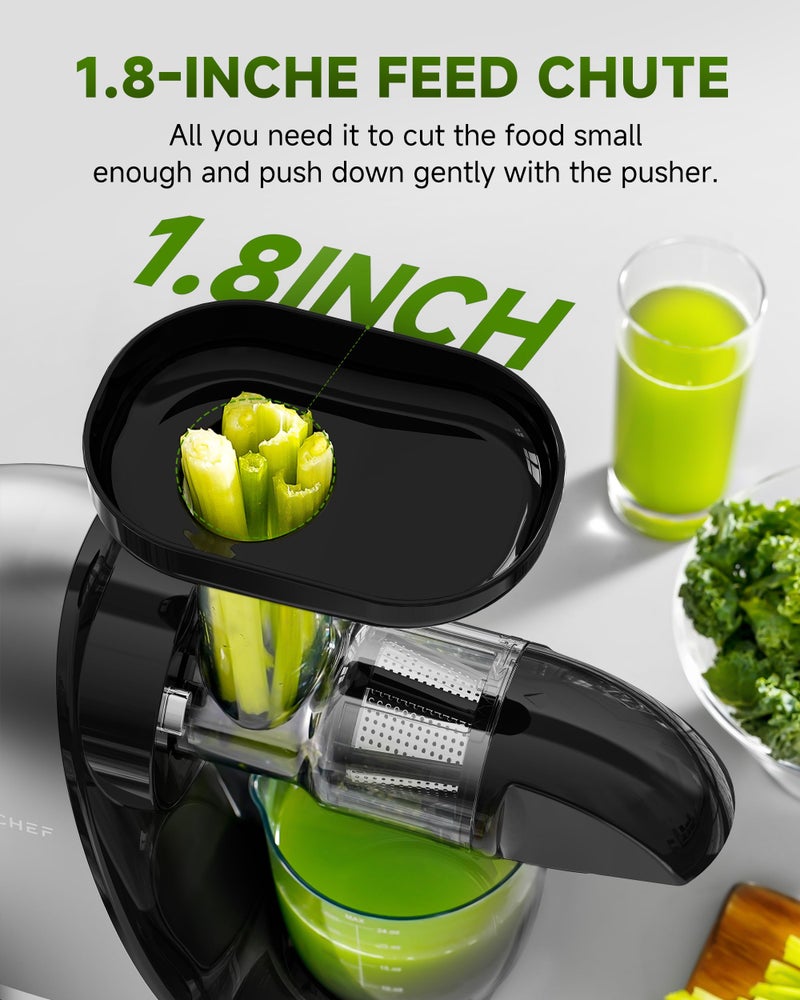 amzchef Masticating Juicer Machines, AMZCHEF Slow Cold Press Juicer with Reverse Function, High Juice Yield, Easy Clean with Brush,Recipes for High Nutrient Fruits and Vegetables, Gray(Updated) - Image 3