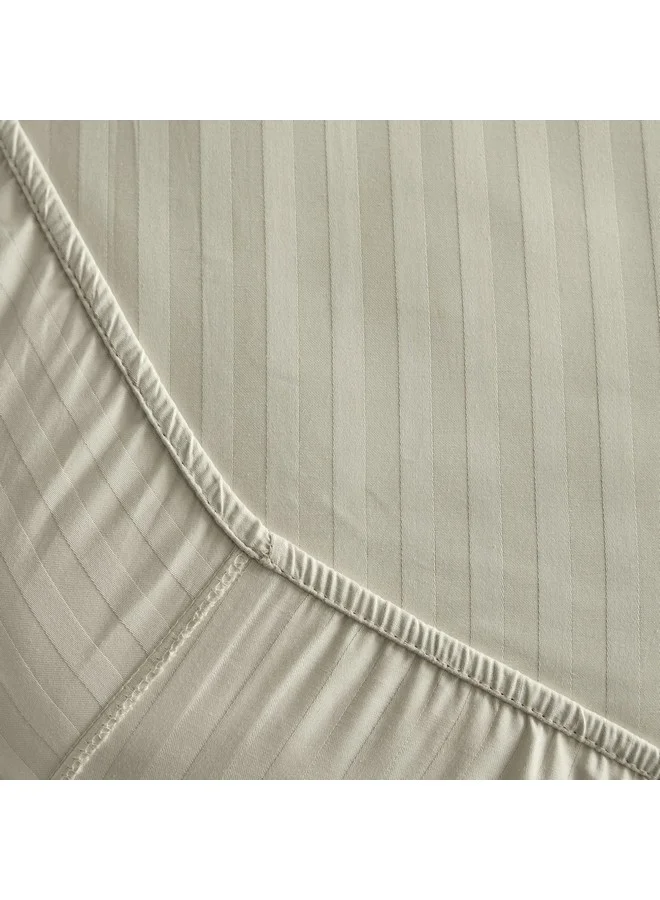هوم بوكس شرشف سرير هاملتون ساتان سترايب أولمبيك كوين 200 × 36 × 160 سم