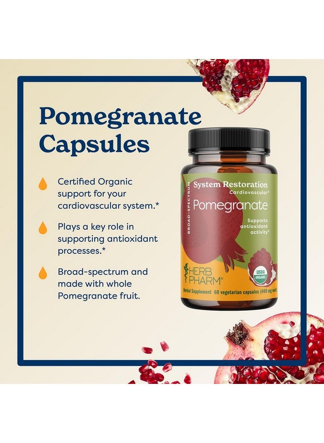 Herb Pharm USDA Organic Pomegranate Capsules for Heart Health Support | Antioxidant Activity Support & Heart Health Supplement Certified Organic Pomegranate Extract | 60 Vegan Capsules 30 Day Supply* - Image 2
