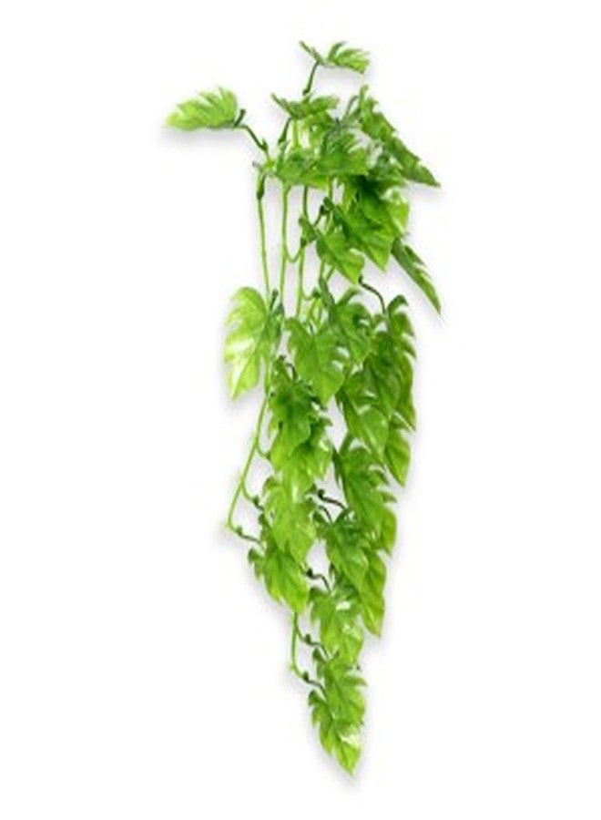 Hobby Climber Philo 37 cm