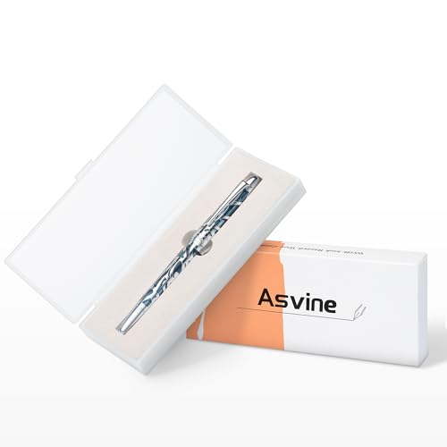 Asvine P80 Piston Filling Fountain Pen Medium Nib, Spider Skeleton Transparent Gray Blue Acrylic Pen Case and Wrench Set - Image 5