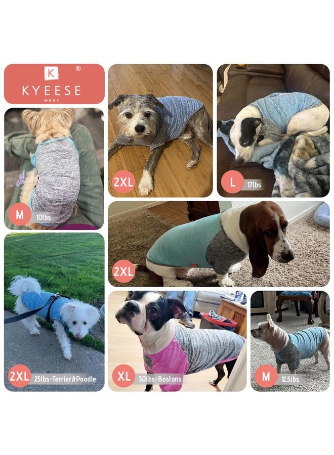 KYEESE 2 Pack Dog Shirts Raglan Sleeve Quick Dry Soft Stretchy Small Dog T-Shirts with Reflective Label Lightweight Pet Clothes Sun Protection, Purple+Grey, XL - Image 5