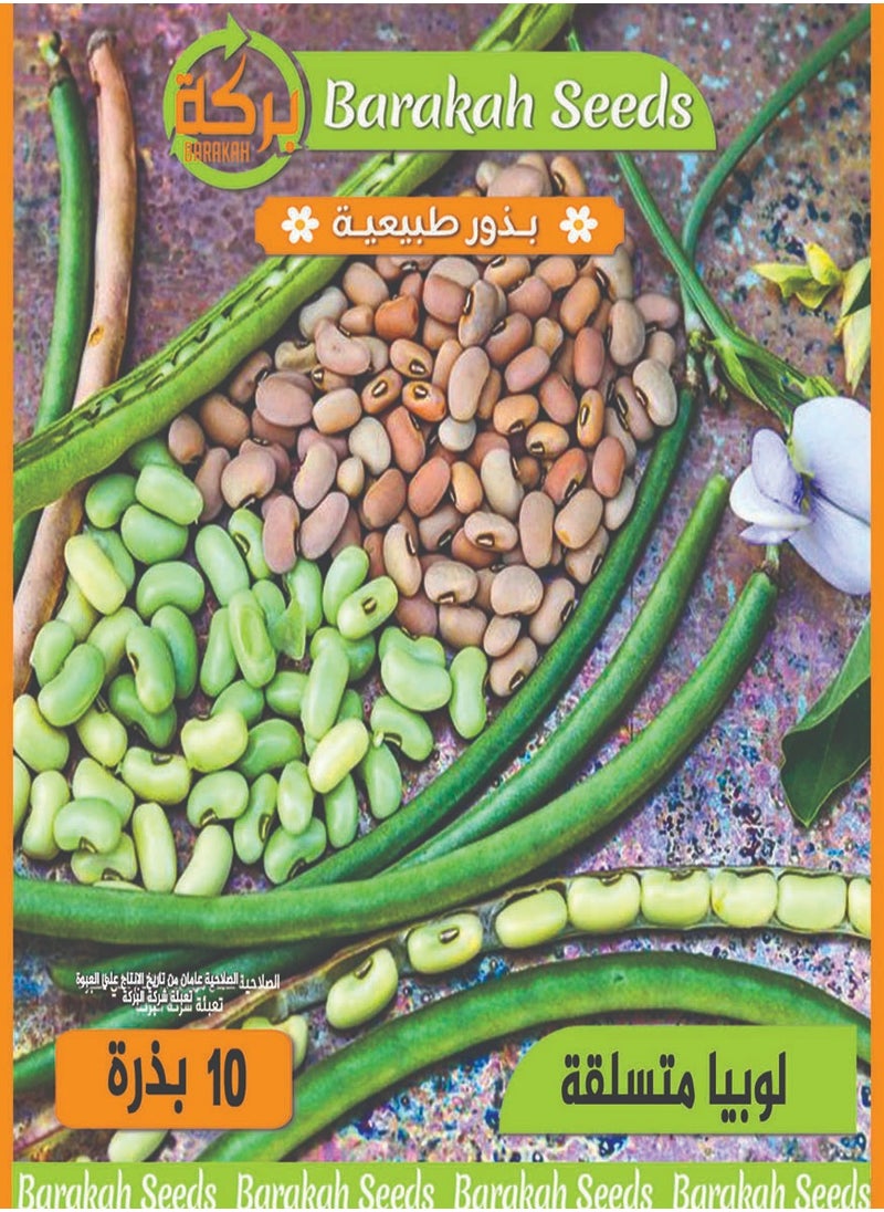 Generic High germination rate seeds - Thai climbing beans 