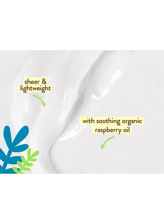 Babo Botanicals Daily Sheer Mineral for Face Sunscreen Lotion SPF40 - Natural Zinc Oxide & Titanium Dioxide - 70% Organic Ingredients - Raspberry Oil & Aloe Vera - Fragrance Free - For all ages - Image 3