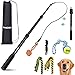 AmaCielo Flirt Pole for Dogs Interactive Toys Tugofwar for Pet Durable Teaser Wand Chase Toys with Rope Chewing Sticks for Outdoor Exercise Training - Image 3