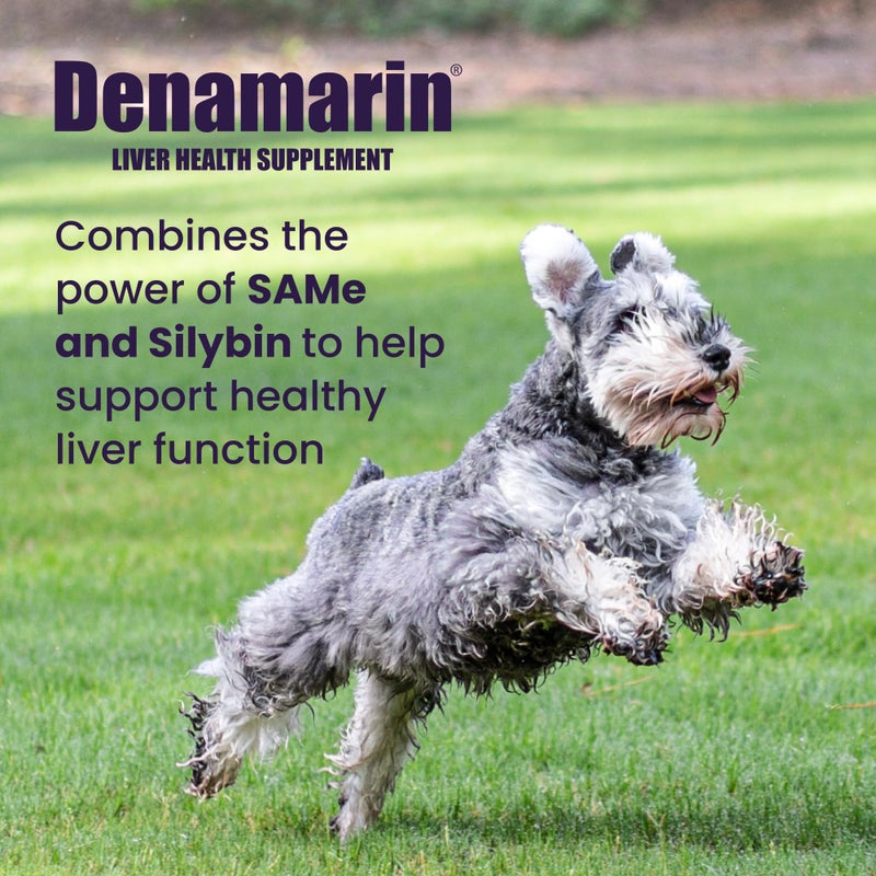Nutramax Laboratories Denamarin Liver Health Supplement for Medium Dogs - With S-Adenosylmethionine (SAMe) and Silybin, 30 Tablets - Image 2