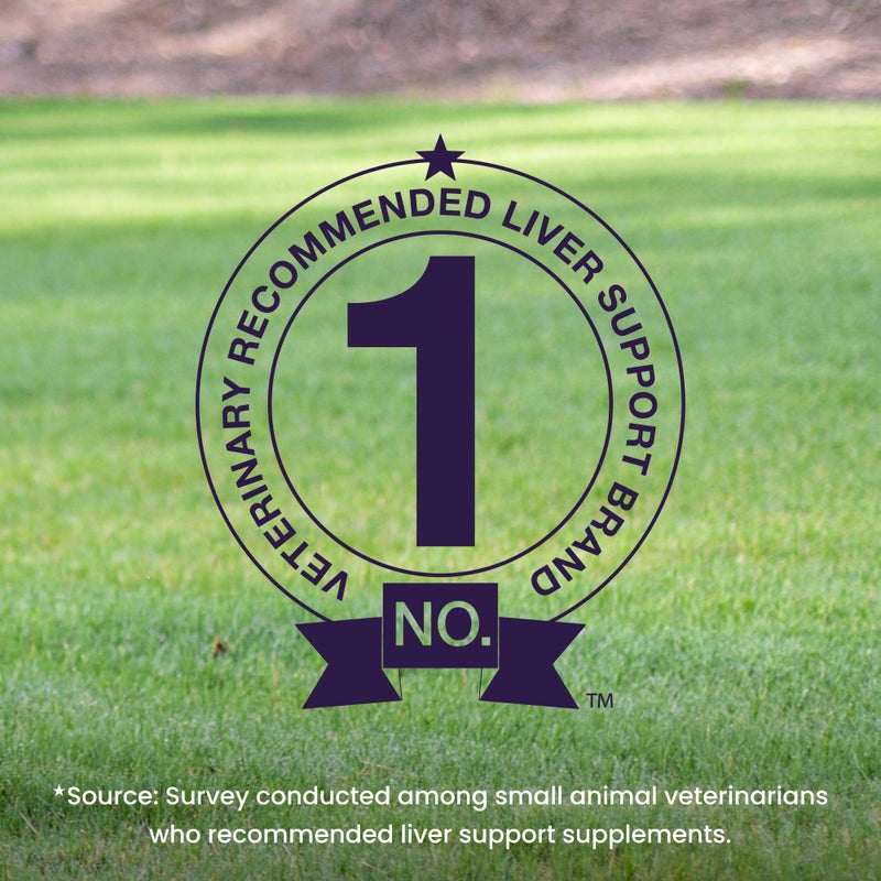 Nutramax Laboratories Denamarin Liver Health Supplement for Medium Dogs - With S-Adenosylmethionine (SAMe) and Silybin, 30 Tablets - Image 3