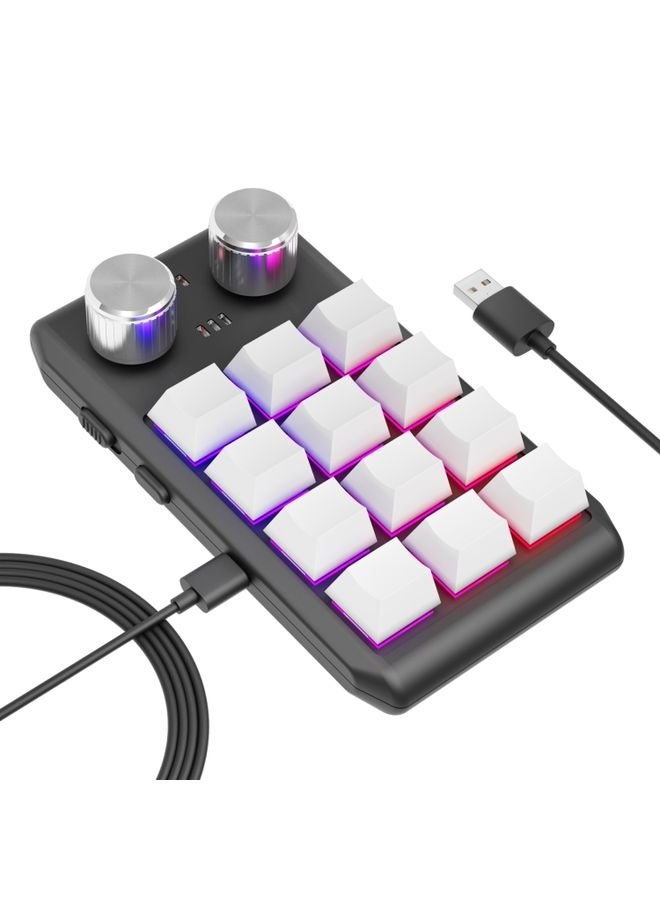 12 Keys Wired With RGB Lights Customized Office Keyboard Shortcut Keys Computer Audio Volume Control(White) - Image 1