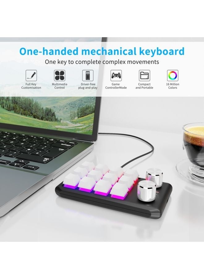 12 Keys Wired With RGB Lights Customized Office Keyboard Shortcut Keys Computer Audio Volume Control(White) - Image 2